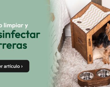 limpiar y desinfectar perreras