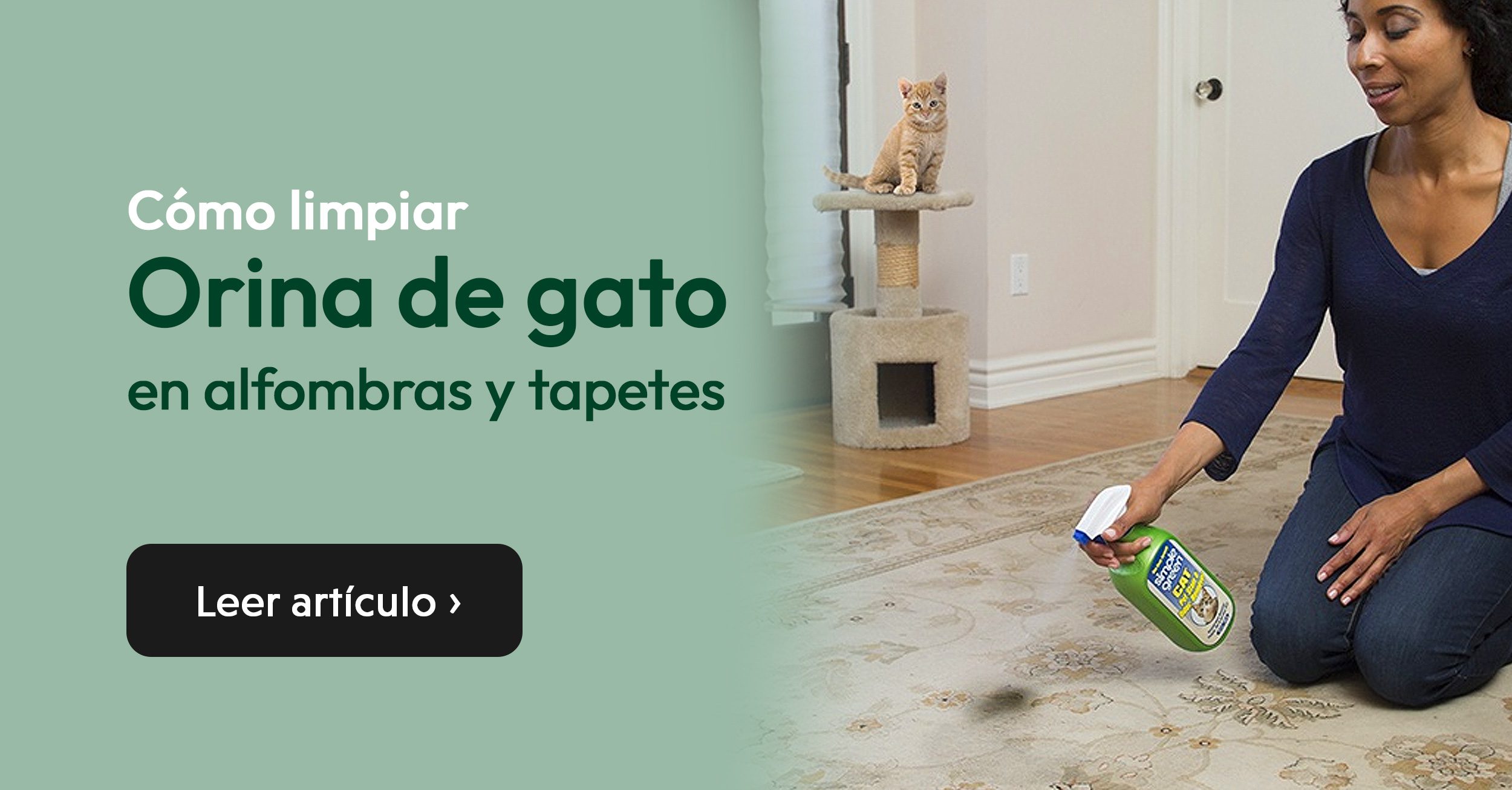 Cómo limpiar orina de gato de alfombras y tapetes