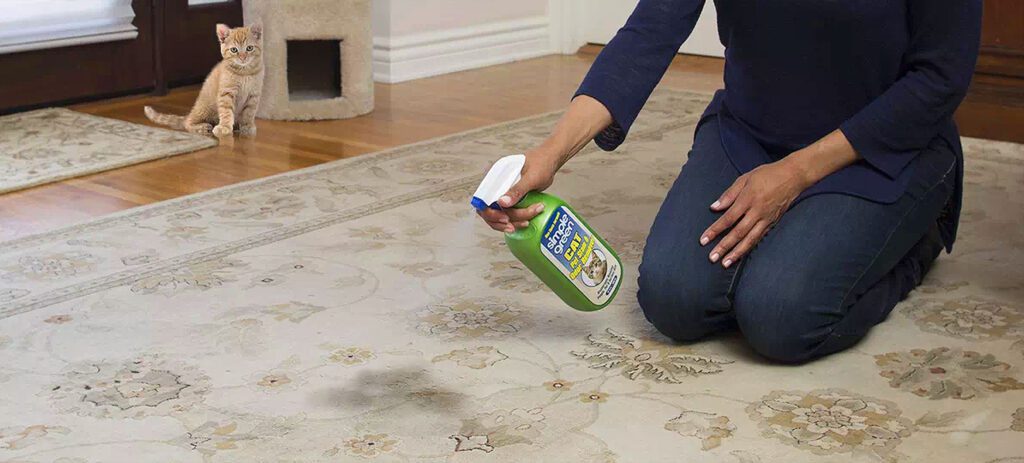 orina de gato en tapetes y alfombras