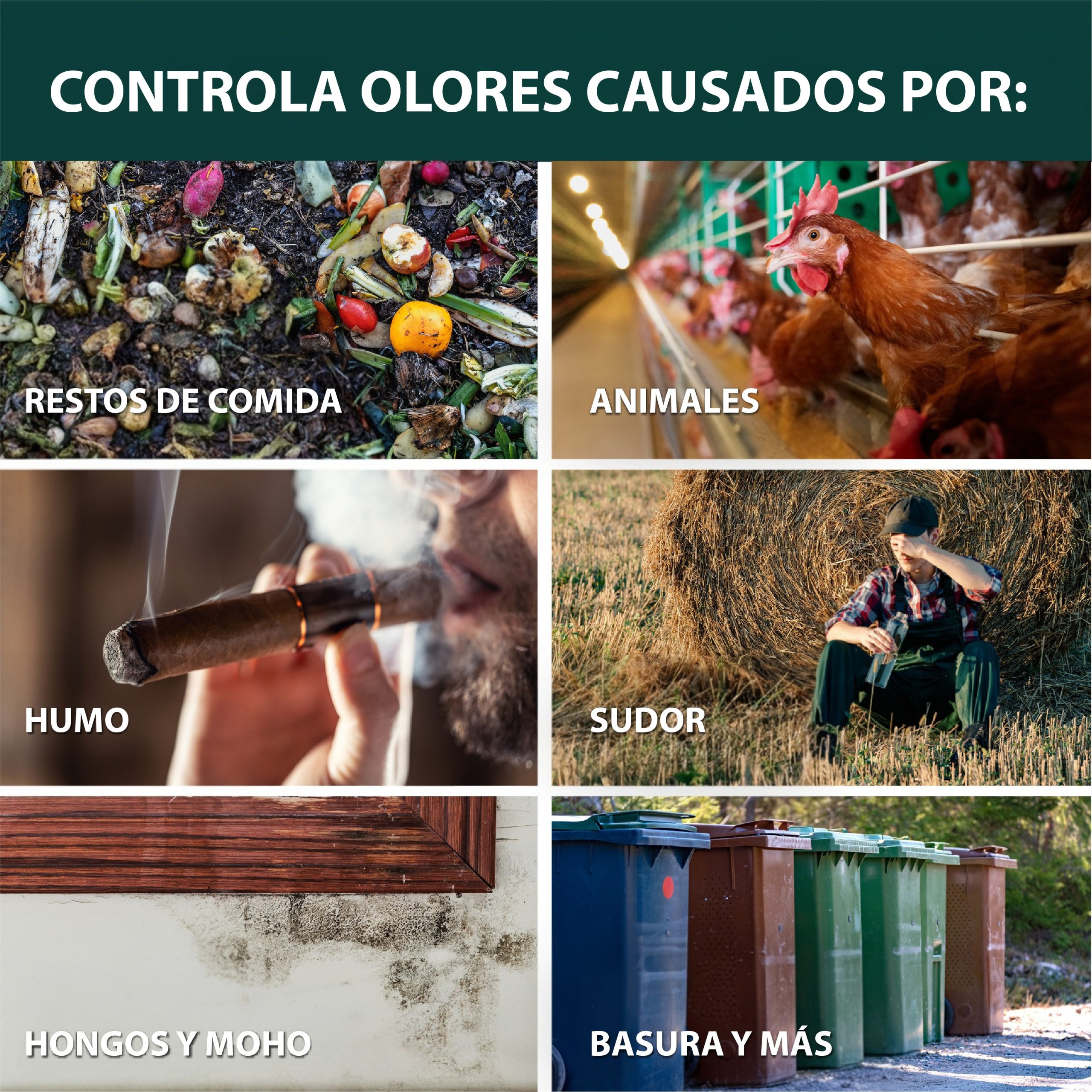 EnhancedPhoto_ESP_SimpleGreenProOdorEliminatorEucalyptus_6